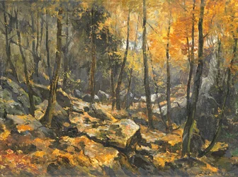 Mer de rochers